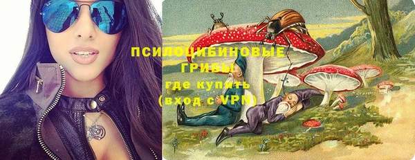 меф Белокуриха