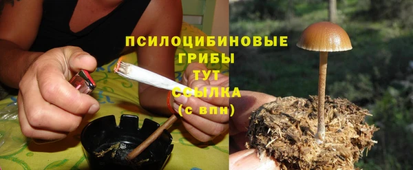 меф Белокуриха