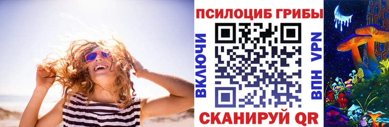 Псилоцибиновые грибы Cubensis  kraken рабочий сайт  Короча 