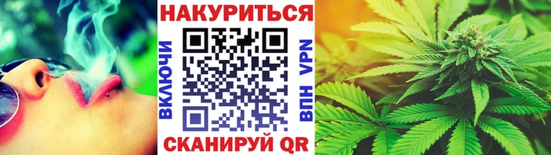 где можно купить   Короча  Шишки марихуана THC 21% 